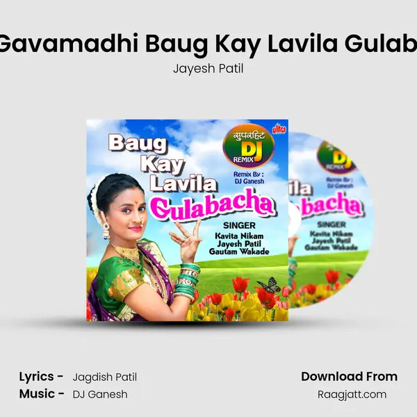 Khanivade Gavamadhi Baug Kay Lavila Gulabacha Remix mp3 song