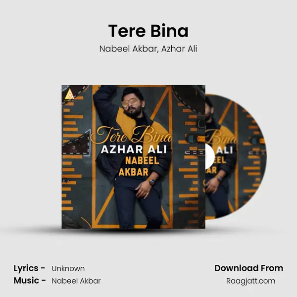 Tere Bina - Nabeel Akbar album cover 