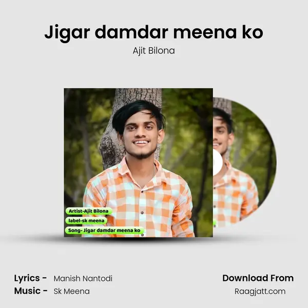 Jigar damdar meena ko mp3 song