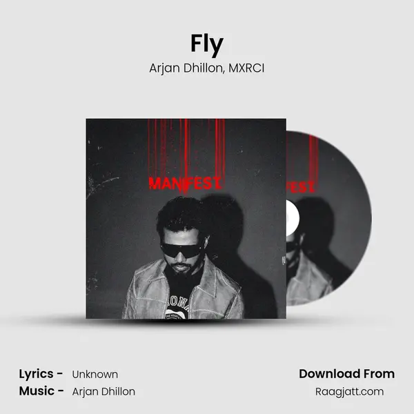 Fly - Arjan Dhillon album cover 