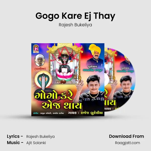 Gogo Kare Ej Thay - Rajesh Bukeliya album cover 