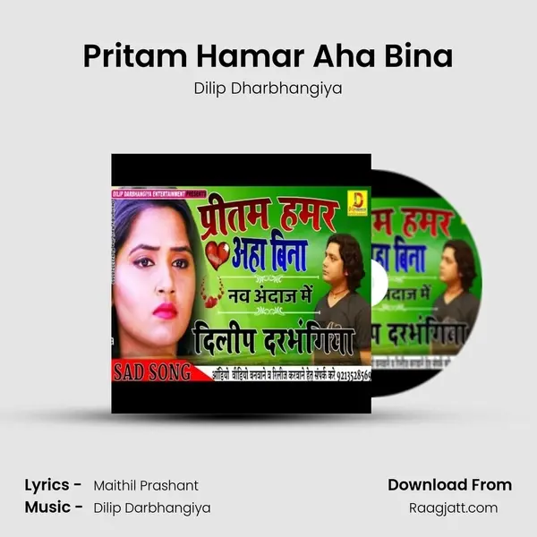 Pritam Hamar Aha Bina mp3 song