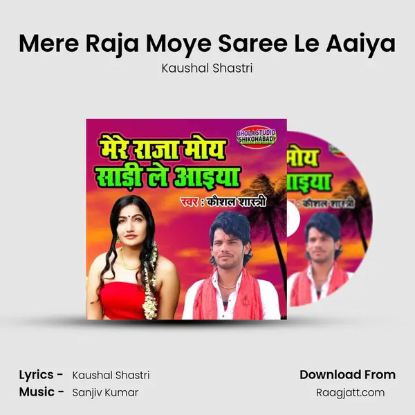 Mere Raja Moye Saree Le Aaiya - Kaushal Shastri album cover 