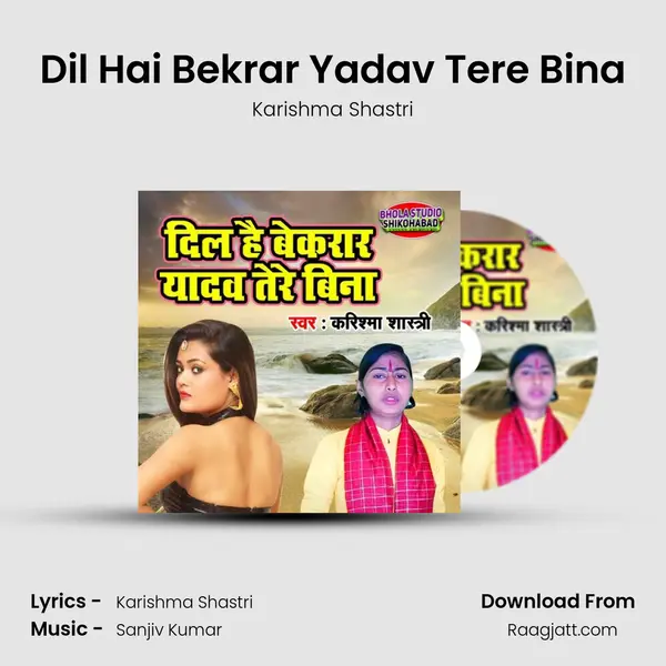 Dil Hai Bekrar Yadav Tere Bina - Karishma Shastri album cover 