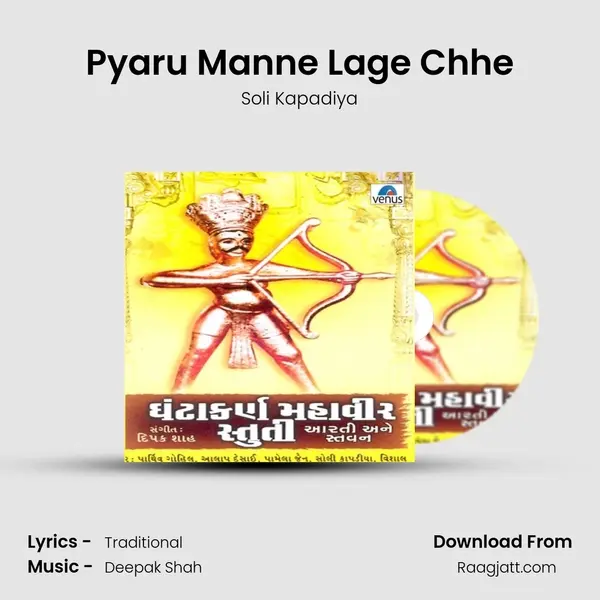 Pyaru Manne Lage Chhe - Soli Kapadiya album cover 