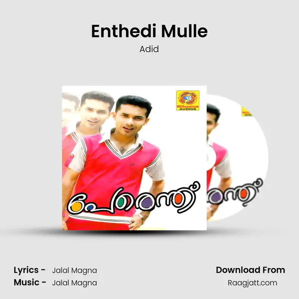 Enthedi Mulle - Adid album cover 