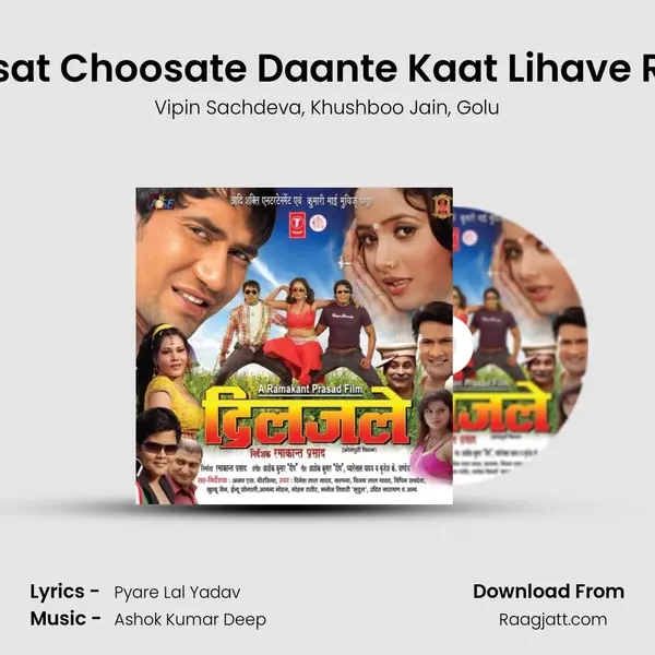 Choosat Choosate Daante Kaat Lihave Raja Ji - Vipin Sachdeva album cover 