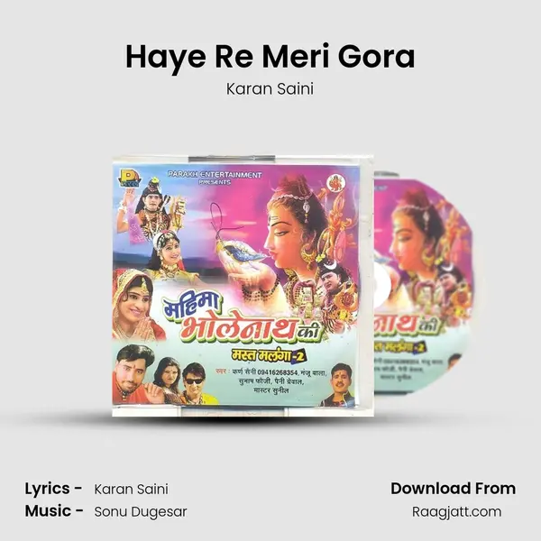 Haye Re Meri Gora - Karan Saini album cover 