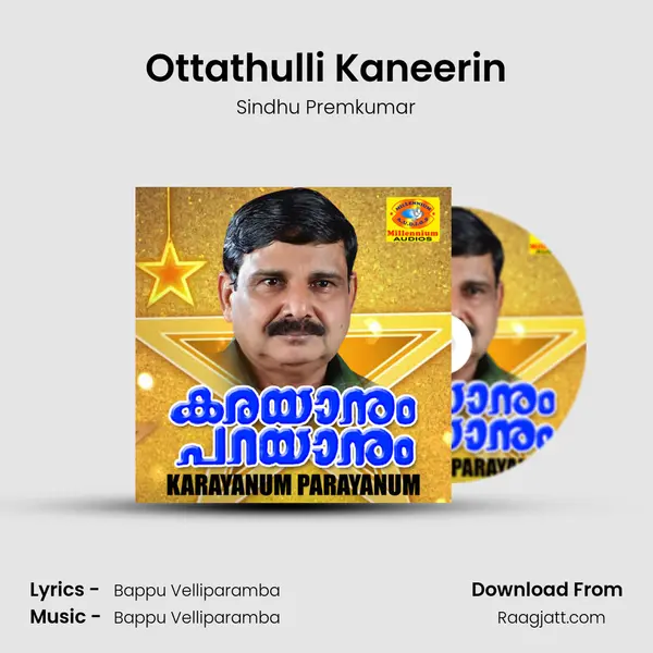 Ottathulli Kaneerin - Sindhu Premkumar album cover 