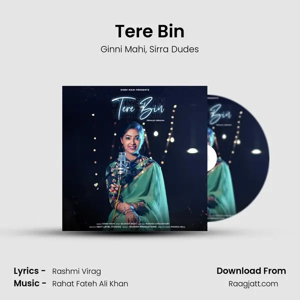 Tere Bin - Ginni Mahi album cover 