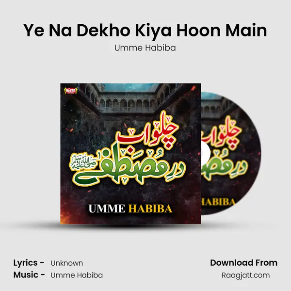 Ye Na Dekho Kiya Hoon Main - Umme Habiba album cover 