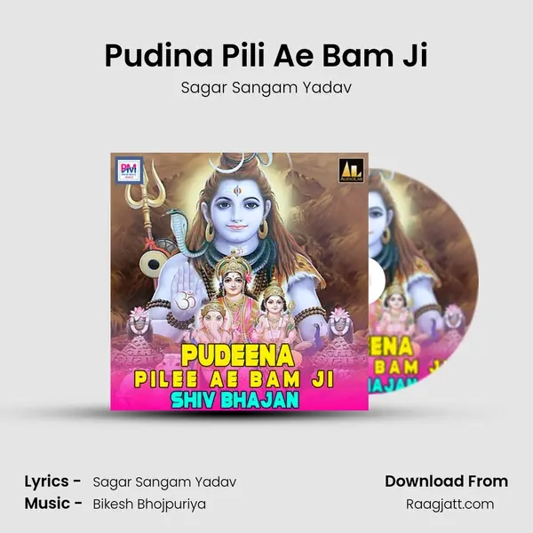 Pudina Pili Ae Bam Ji mp3 song