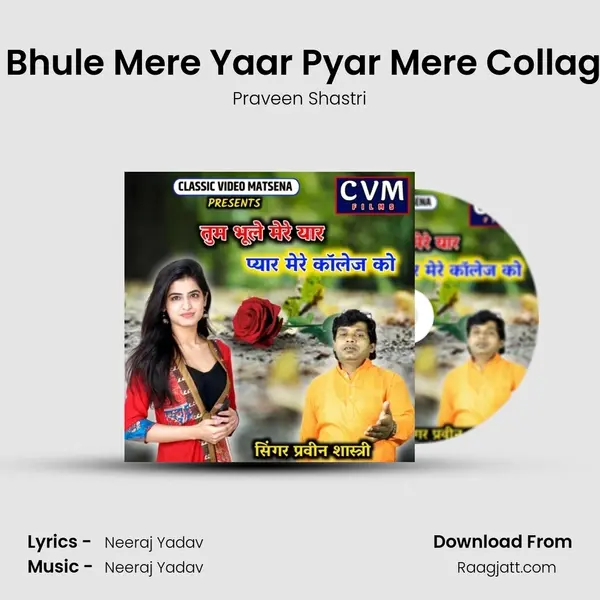 Tum Bhule Mere Yaar Pyar Mere Collage KO mp3 song