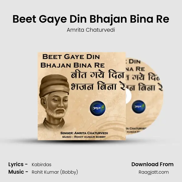 Beet Gaye Din Bhajan Bina Re - Amrita Chaturvedi album cover 