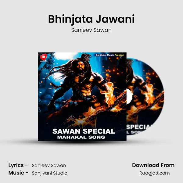 Bhinjata Jawani mp3 song