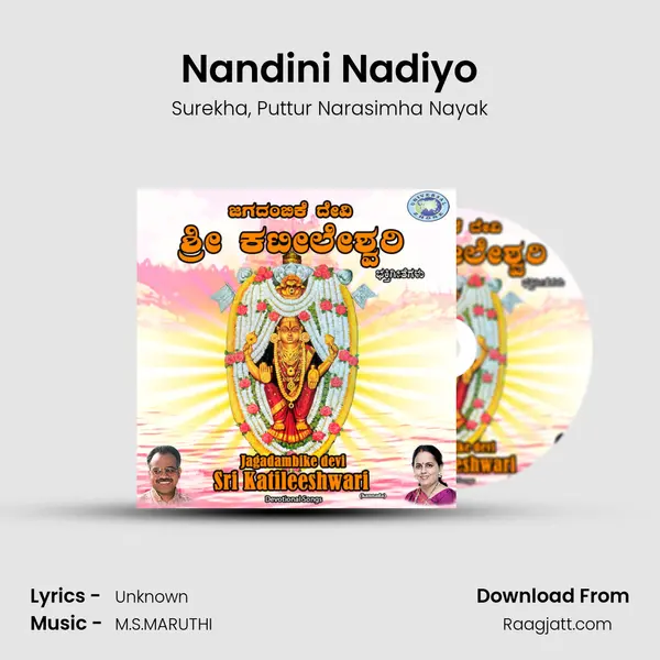 Nandini Nadiyo - Surekha album cover 