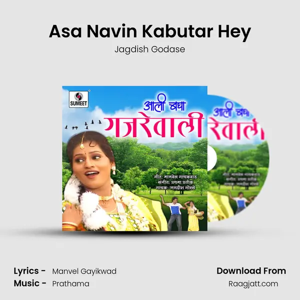 Asa Navin Kabutar Hey - Jagdish Godase album cover 