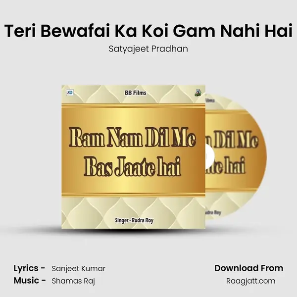 Teri Bewafai Ka Koi Gam Nahi Hai - Satyajeet Pradhan album cover 