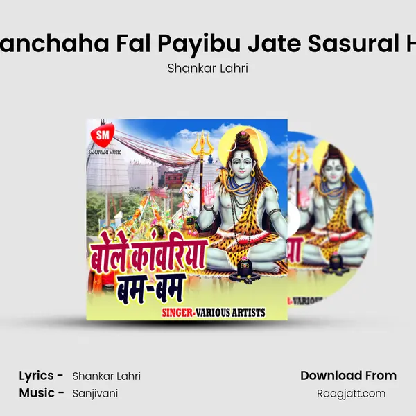 Manchaha Fal Payibu Jate Sasural Ho - Shankar Lahri album cover 