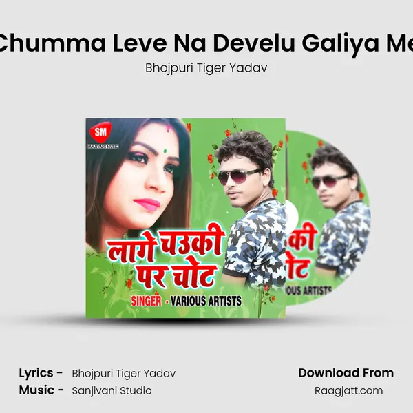 Chumma Leve Na Develu Galiya Me - Bhojpuri Tiger Yadav album cover 