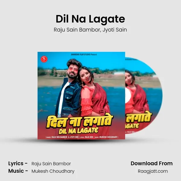 Dil Na Lagate - Raju Sain Bambor album cover 