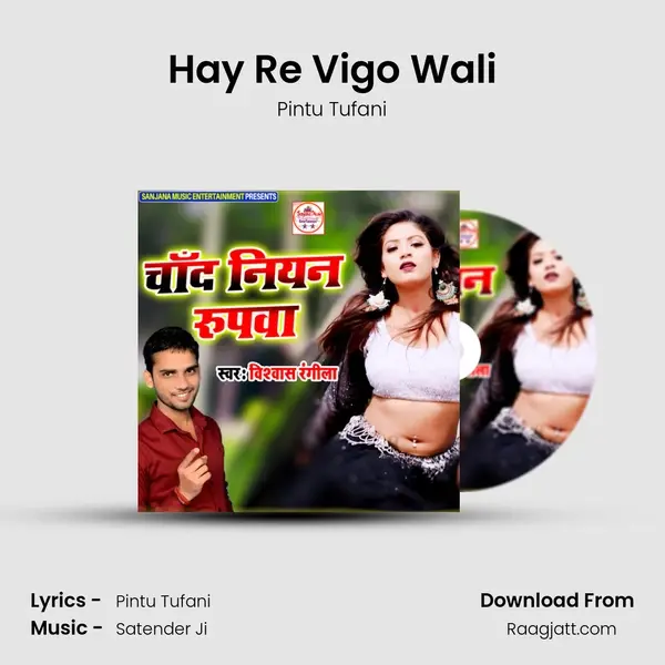 Hay Re Vigo Wali mp3 song