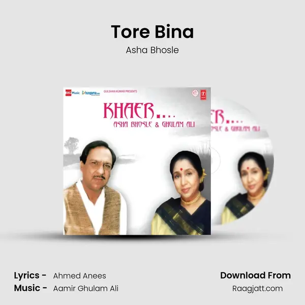 Tore Bina - Asha Bhosle album cover 