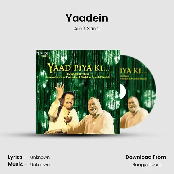 Yaadein - Amit Sana album cover 