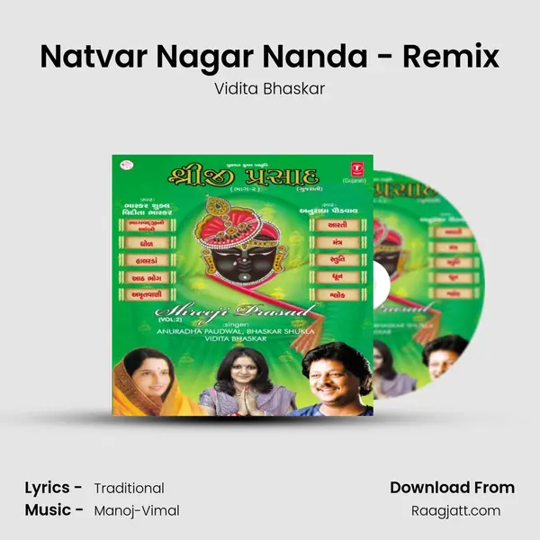 Natvar Nagar Nanda - Remix - Vidita Bhaskar album cover 