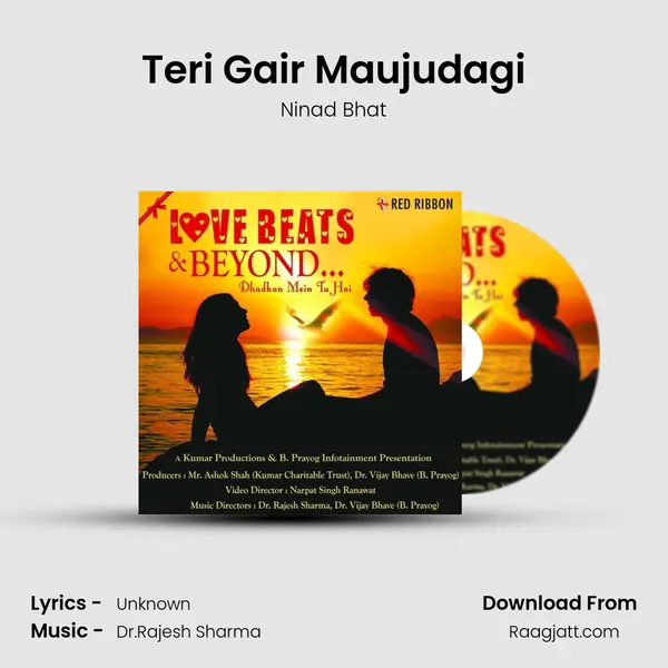 Teri Gair Maujudagi - Ninad Bhat album cover 