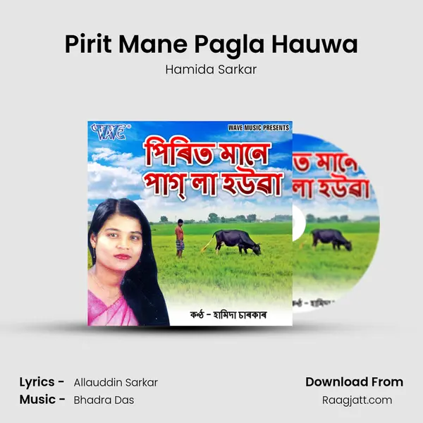 Pirit Mane Pagla Hauwa mp3 song