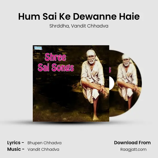 Hum Sai Ke Dewanne Haie mp3 song