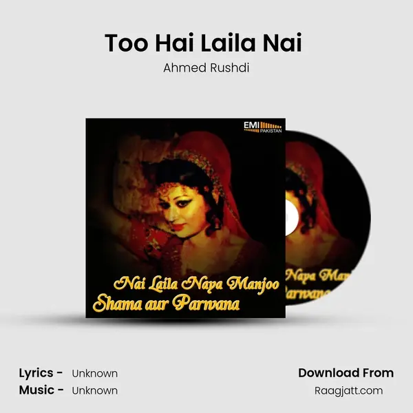 Too Hai Laila Nai (From Nai Laila Naya Majnu) mp3 song