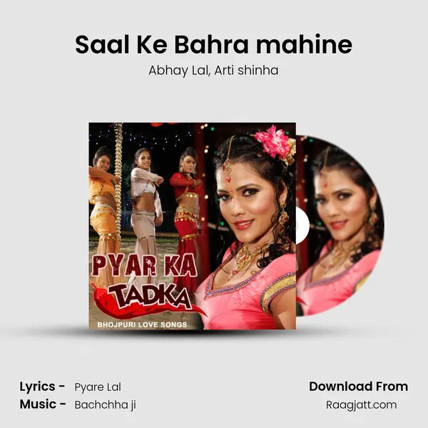 Saal Ke Bahra mahine - Abhay Lal album cover 