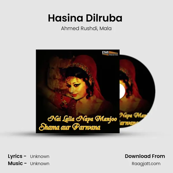 Hasina Dilruba (From Nai Laila Naya Majnu) mp3 song