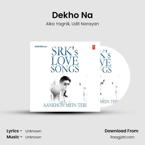 Dekho Na - Alka Yagnik album cover 