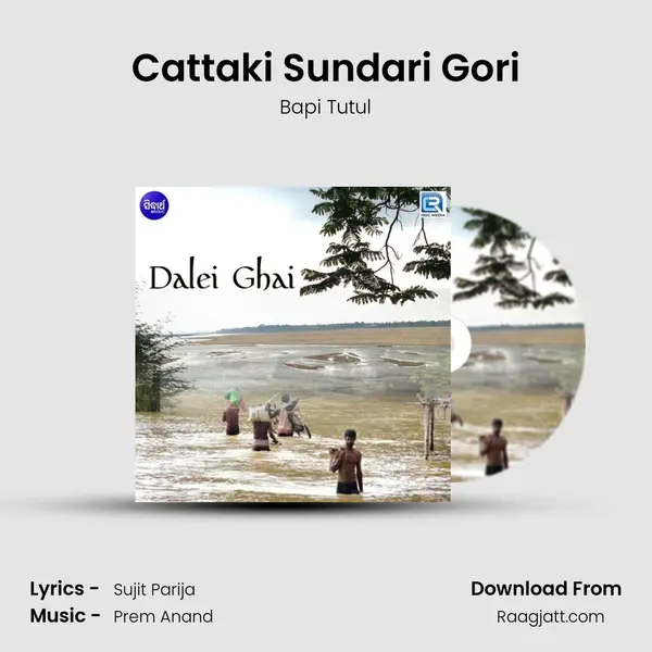 Cattaki Sundari Gori - Bapi Tutul album cover 