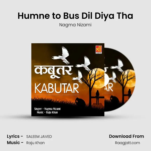 Humne to Bus Dil Diya Tha - Nagma Nizami album cover 