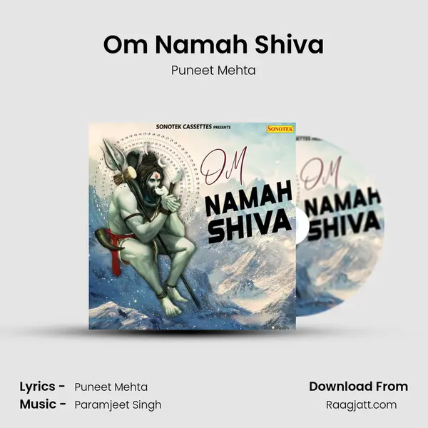 Om Namah Shiva - Puneet Mehta album cover 