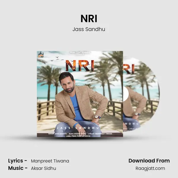 NRI - Jass Sandhu album cover 