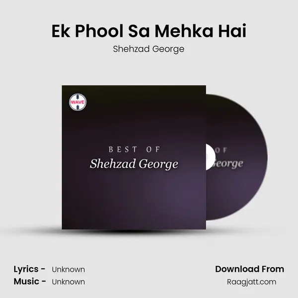 Ek Phool Sa Mehka Hai - Shehzad George album cover 