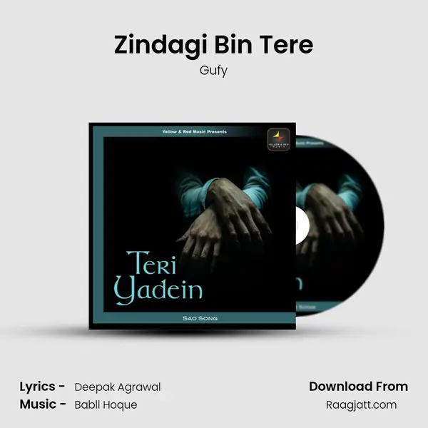 Zindagi Bin Tere mp3 song