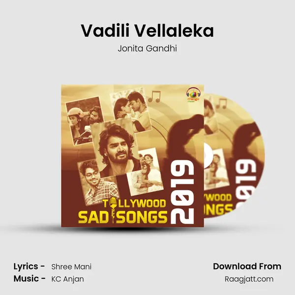 Vadili Vellaleka - Jonita Gandhi album cover 