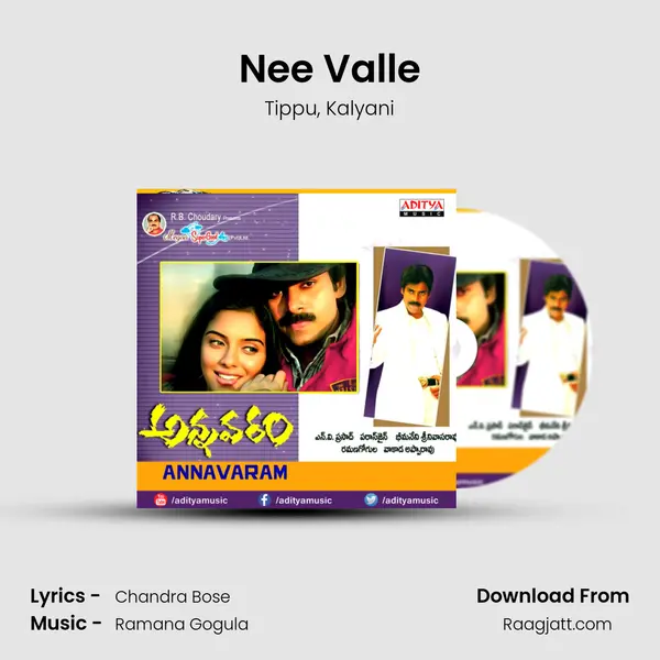 Nee Valle - Tippu album cover 