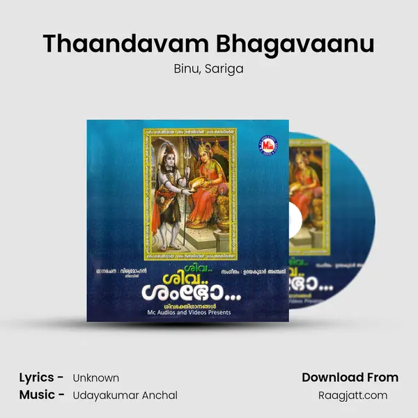 Thaandavam Bhagavaanu - Binu album cover 