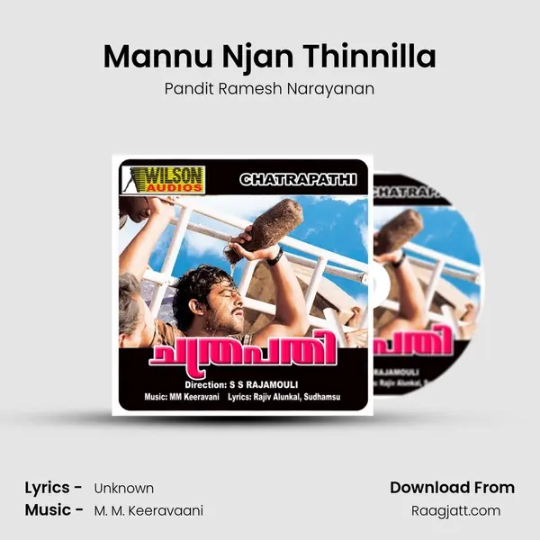 Mannu Njan Thinnilla - Pandit Ramesh Narayanan album cover 