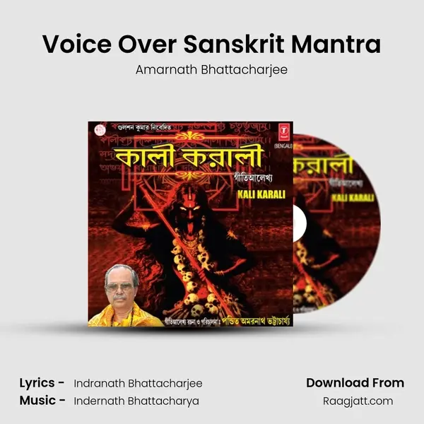 Voice Over Sanskrit Mantra mp3 song