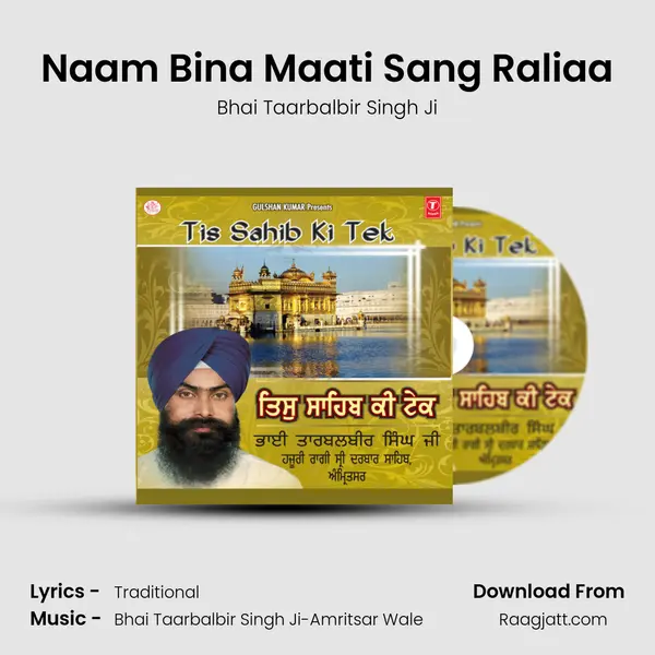 Naam Bina Maati Sang Raliaa - Bhai Taarbalbir Singh Ji album cover 