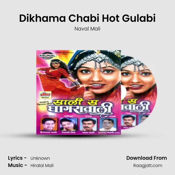 Dikhama Chabi Hot Gulabi - Naval Mali album cover 