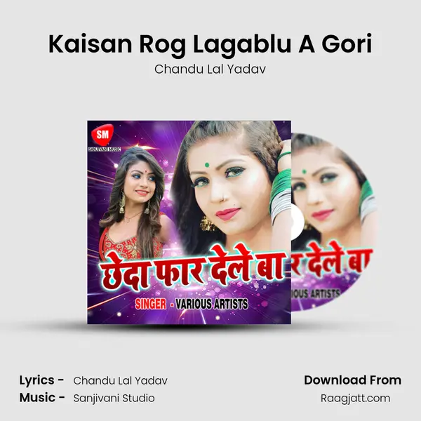 Kaisan Rog Lagablu A Gori mp3 song